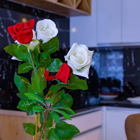 Apartament Fiore Wlora